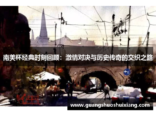 南美杯经典时刻回顾：激情对决与历史传奇的交织之路
