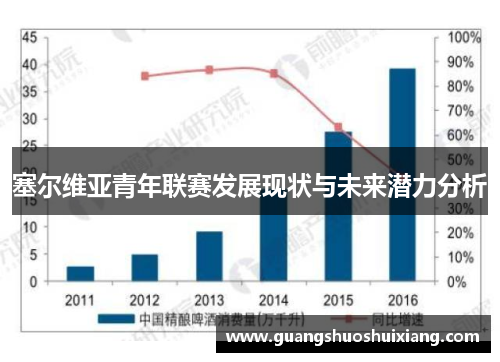 塞尔维亚青年联赛发展现状与未来潜力分析