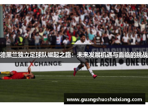 德黑兰独立足球队崛起之路：未来发展机遇与面临的挑战